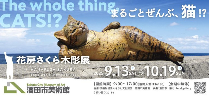 011dbebeaff72c3f913ec0c36d69b695e17